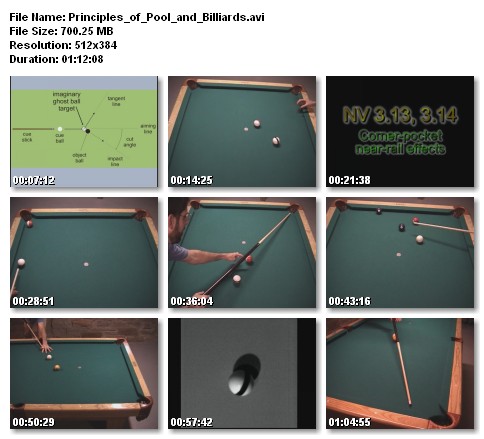 Секреты пула для "чайников" / The illustrated Principles of Pool and Billiards